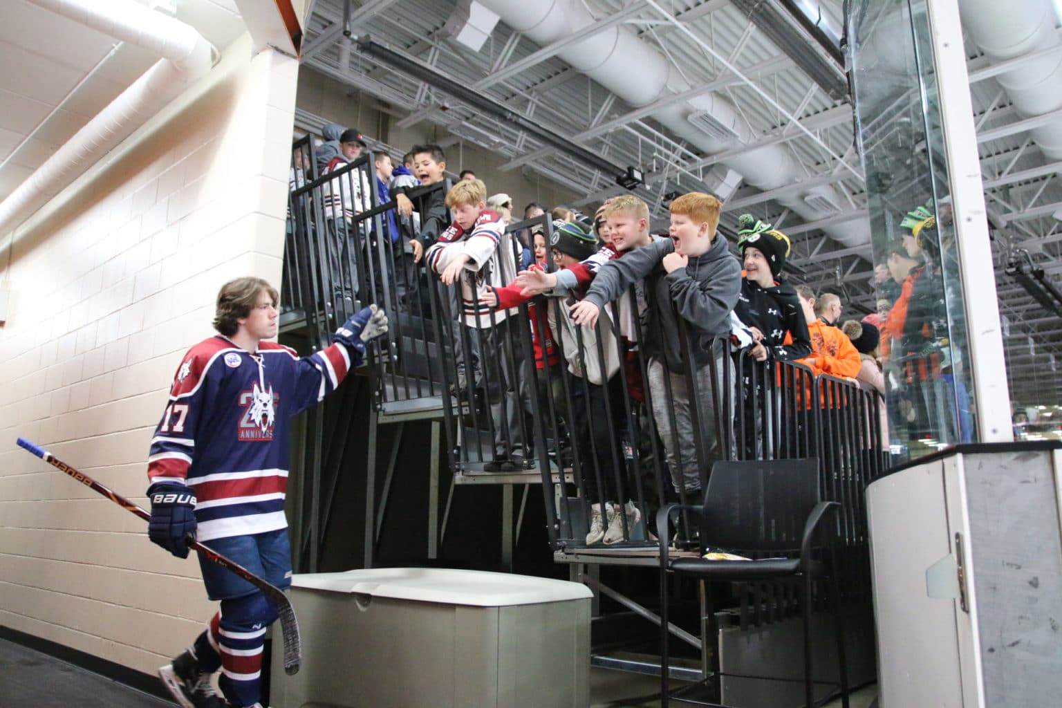 Ice dogs high fiving fans